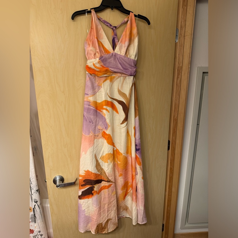 Pedal and Pup Multicolor Maxi Dress